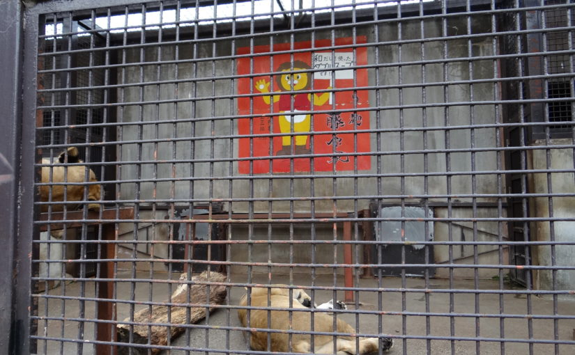 宇都宮動物園～レトロな動物園