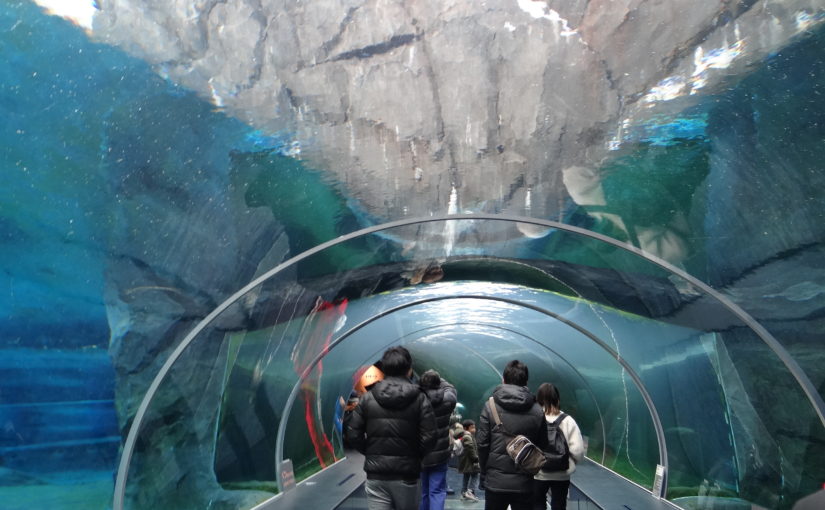 円山動物園～冬でも元気な動物園